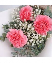 Carnation Bouquet ✨ 