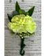 Carnation Boutonniere Green (20 total) Boutonniere