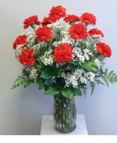 Carnation Dozen (RED) 
