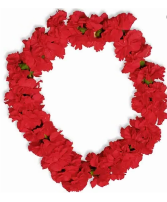 Carnation Lei 