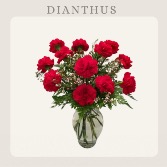 Dianthus Vase-Red Carnations