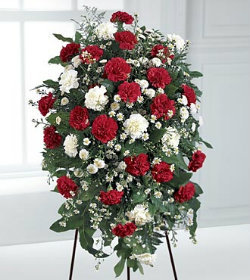 Carnation Spray Sympathy