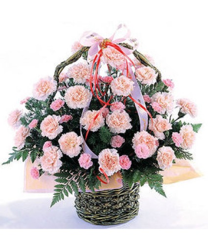 Carnations Basket for  Mom Birthday / Mother's Day
