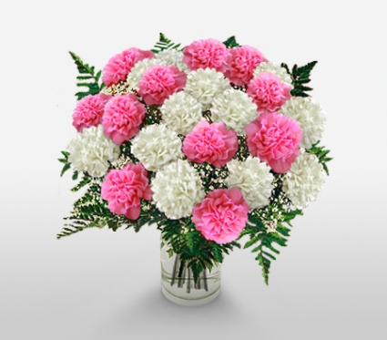 CARNATIONS BOUQUET from Roma Florist 