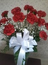 carnations D2013