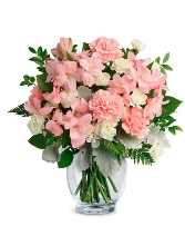 Carnations - Feminine Carnations Arrangement