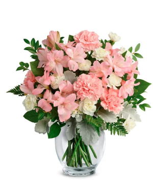 Carnations - Feminine Carnations Arrangement