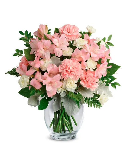 Carnations - Feminine Carnations Arrangement