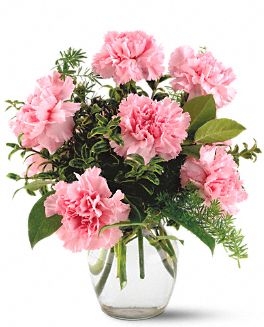 Carnations for you Arrangement