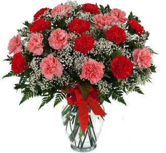 Carnations Galore All Around Posy