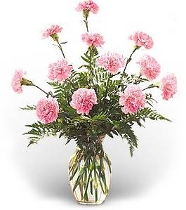 Carnations Galore All Pink or Mixed Pink, White, and Purple