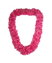 carnation lei lei