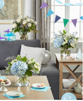 Carolina Blue Trio Bundle 