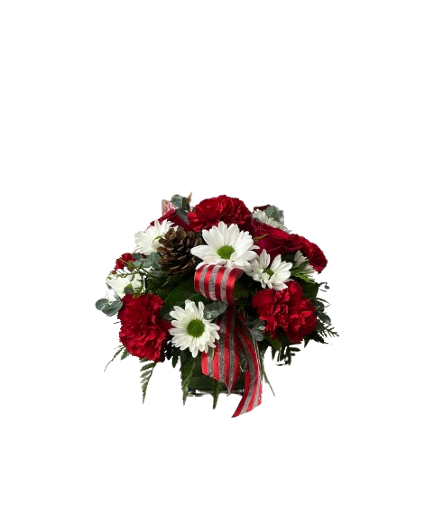 Carolling Cube Arrangement