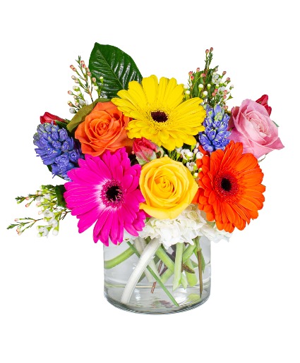Carousel Arrangement