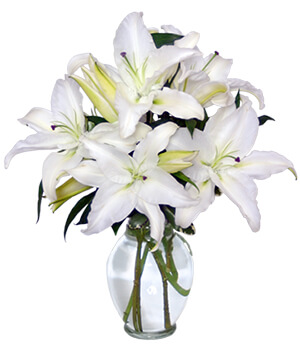 Comfort & Blessings All White Sympathy Arrangement, Carithers