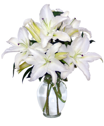 Casa Blanca Lilies Arrangement in Ocala, FL | Blue Creek Florist