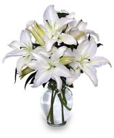 Casa Blanca Lillies arrangement