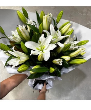 Casablanca Lily Sympathy Gift