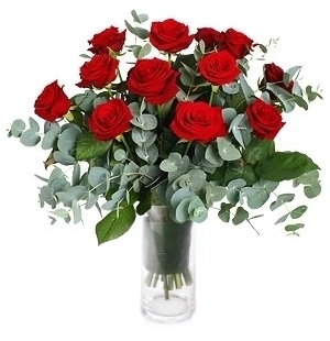 CASANOVA ARRANGEMENT
