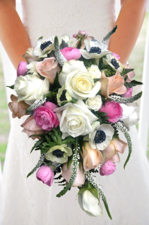 Bashful and Blush Cascade