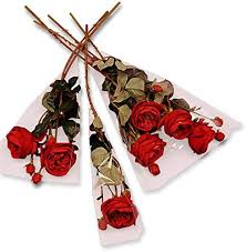 Just Roses Roses in Mitchell, IN | Blooming Pails, LLC Just Roses Roses in Mitchell, IN | Blooming Pails, LLC