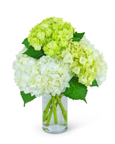 Cashmere and Mint Flower Arrangement