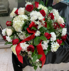 Category Image