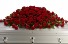 Purchase this funeral home arrangement