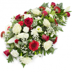 Category Image