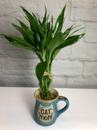 Cat Mom Mug Local Delivery Only