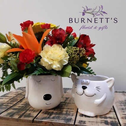 Cats & Dogs Vase Arrangement