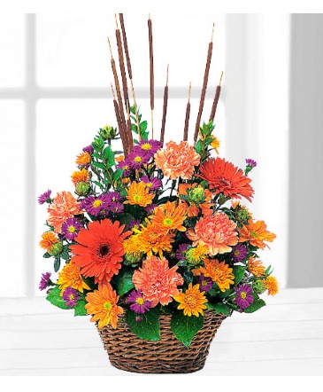 Cattails & Mums TF76-2 Basket Arrangement in Fort Worth, TX | DARLA'S FLORIST