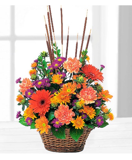Cattails & Mums TF76-2 Basket Arrangement