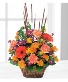 Cattails & Mums TF76-2 Basket Arrangement