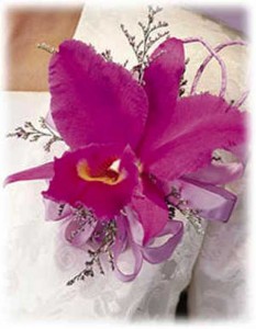 CATTLEYA ORCHID CORSAGE OR WRISTLET