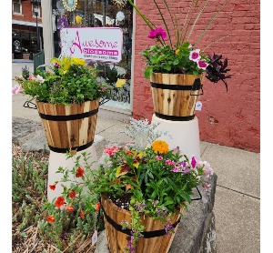 Cedar Planters Potted Plants