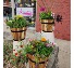 Cedar Planters Potted Plants