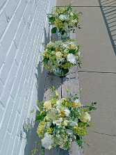 Celebrate Collection Designer's Choice