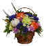 Celebrate Fall Flowers