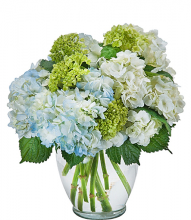 Celebrate hydrangea Vase