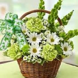 Celebrate St Patrick's Day
