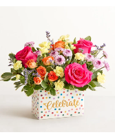 Celebrate the Day 
