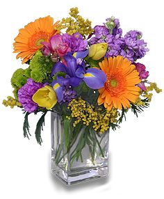 CELEBRATE THE DAY