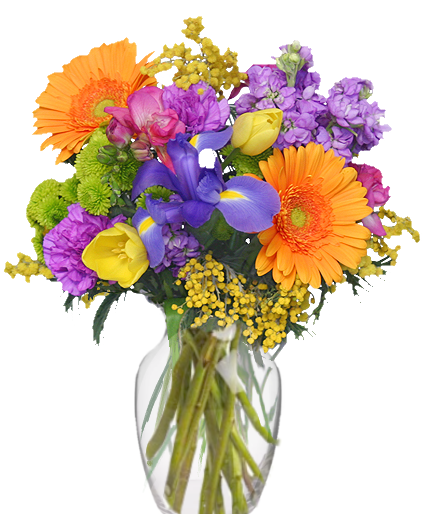Celebrate the Day Bouquet of Flowers