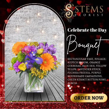 Celebrate The Day Fresh Flowers in Vacaville, CA | Stems Florist