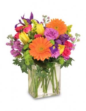 Celebrate Today! Bouquet in Janesville, WI | BARB'S ALL SEASONS FLOWERS