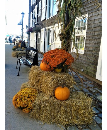 CELEBRATING FALL AND ALL OF IT'S BEAUTY in Halifax, NS | Twisted Willow