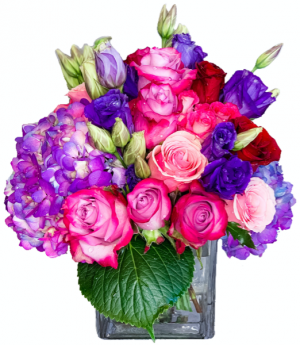 Celebration by DGM Flowers in Fort Lauderdale, FL | Flowers Fort Lauderdale by DGM Flowers Celebration by DGM Flowers in Fort Lauderdale, FL | Flowers Fort Lauderdale by DGM Flowers