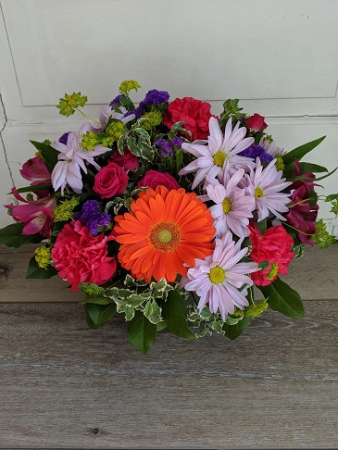 Celebration Fresh Arrangement
